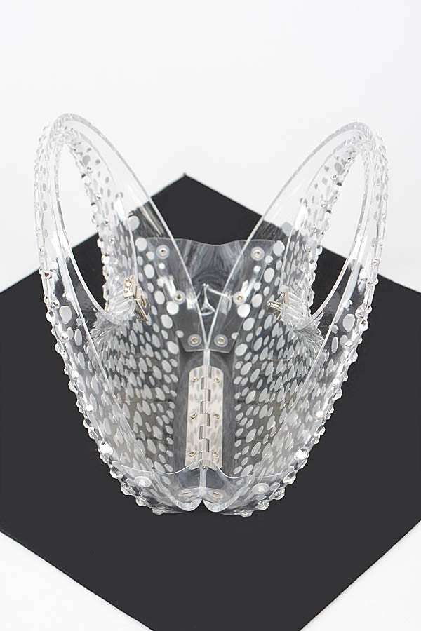 Rhinestone Clear Acrylic Clutch - GlamLusH Boutique 